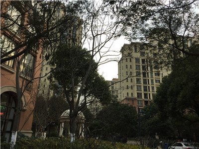 �@�^(q��) ���򻨈@2��