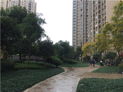 �ǽ��� ������· �º������ ����Է