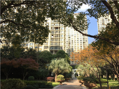 �@�^(q��) ���򻨈@